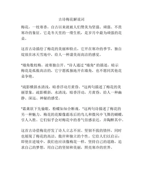 古诗梅花解说词