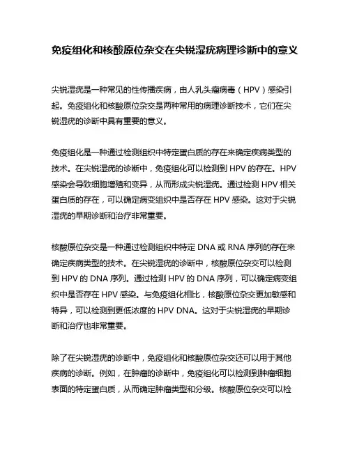 免疫组化和核酸原位杂交在尖锐湿疣病理诊断中的意义