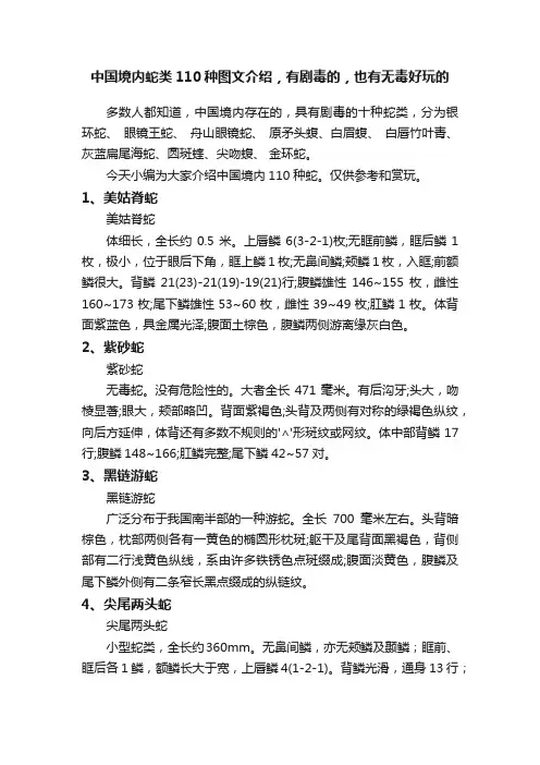 中国境内蛇类110种图文介绍，有剧毒的，也有无毒好玩的