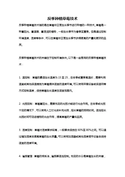 反季种植草莓技术