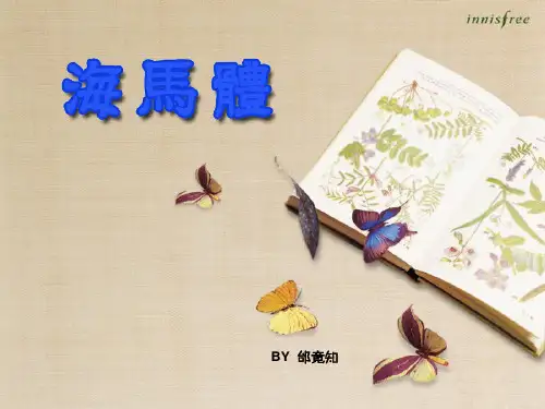 海马体