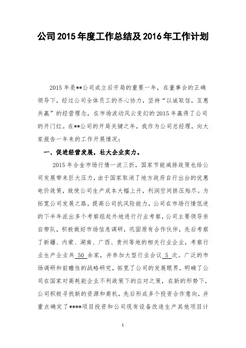 公司2015年度工作总结及2016年工作计划