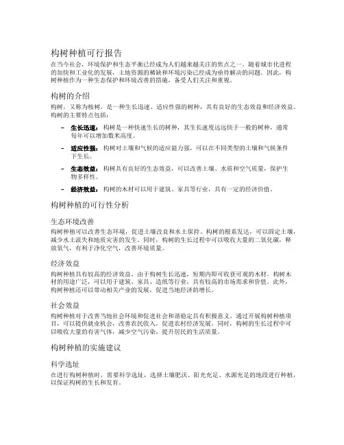 构树种植可行报告