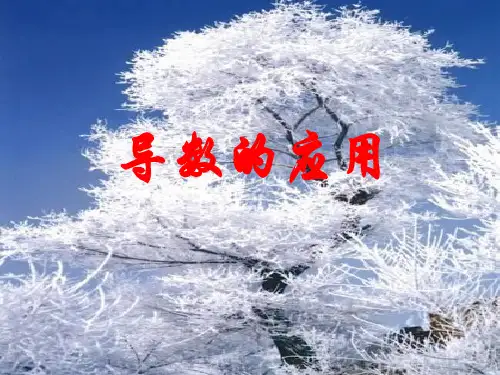 数学苏教版选修1-1 导数的应用1