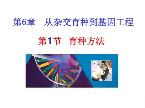 (新课)第6章  从杂交育种到基因工程