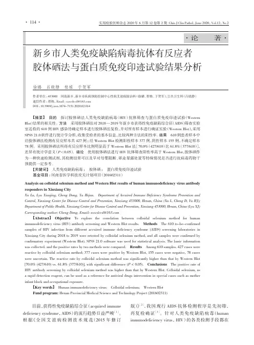 新乡市人类免疫缺陷病毒抗体有反应者胶体硒法与蛋白质免疫印迹试验结果分析