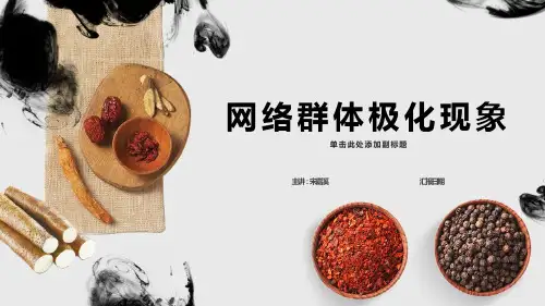 网络群体极化现象