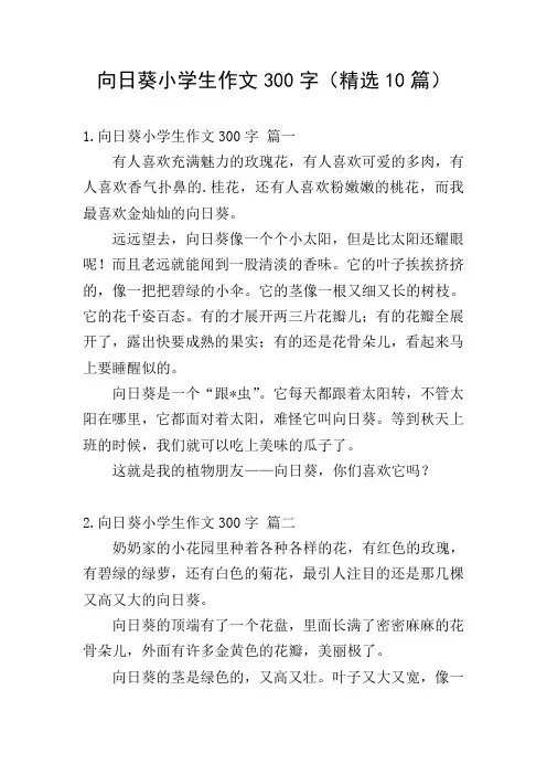 向日葵小学生作文300字(精选10篇)