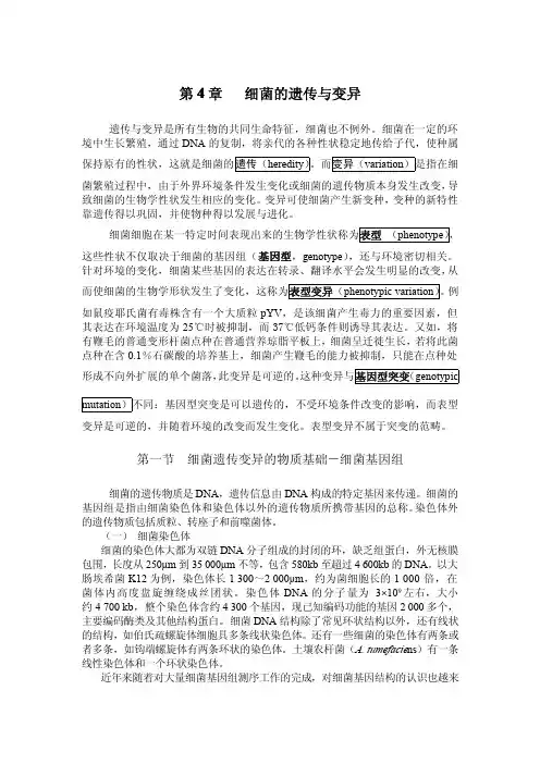 细菌的遗传与变异