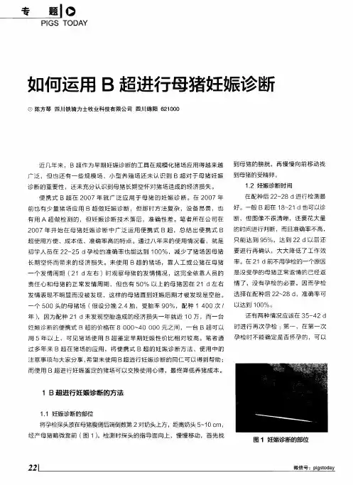 如何运用B超进行母猪妊娠诊断
