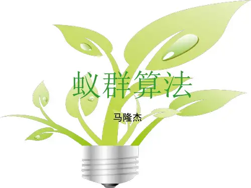 马隆杰--蚁群算法