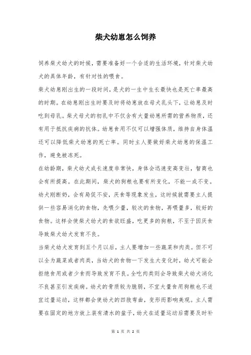 柴犬幼崽怎么饲养