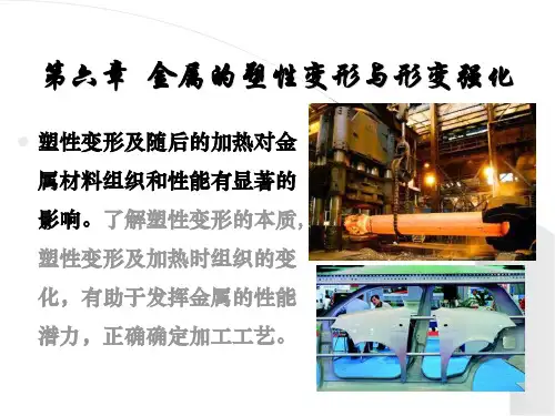 6金属的塑性变形与形变强化