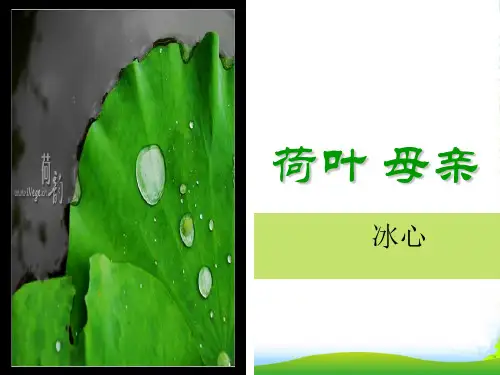 人教七年级上册《荷叶母亲》课件(共27张PPT)