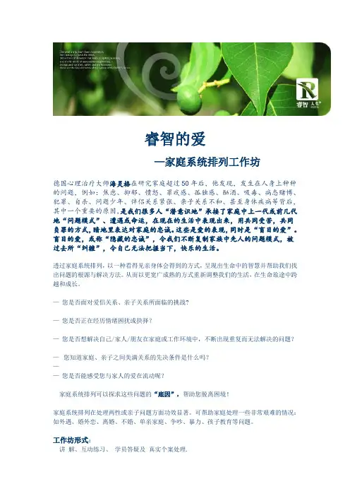 睿智的爱-系统排列工作坊.doc