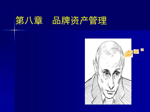 品牌资产管理教材(PPT77页)