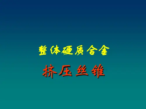 挤压丝锥1
