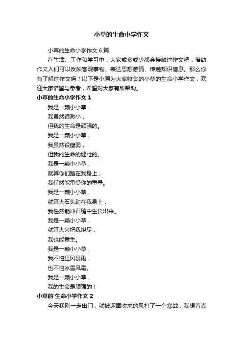 小草的生命小学作文6篇