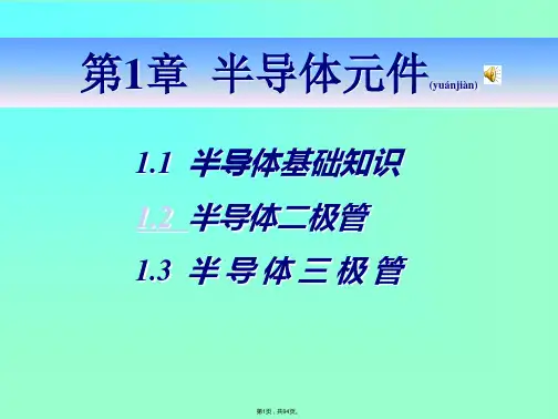 PN结形成原理(共94张)