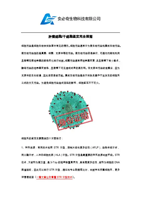 肿瘤细胞干细胞鉴定完全指南