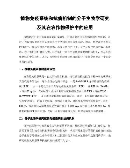 植物免疫系统和抗病机制的分子生物学研究及其在农作物保护中的应用