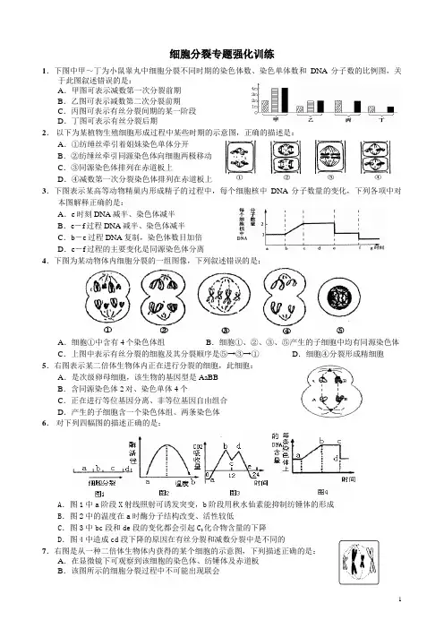 高考细胞有丝与减数分裂图像专题