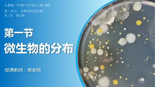 人教版生物七年级上册2.3.1《微生物的分布》(教学课件)