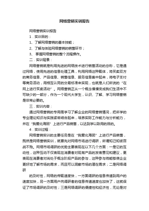 网络营销实训报告