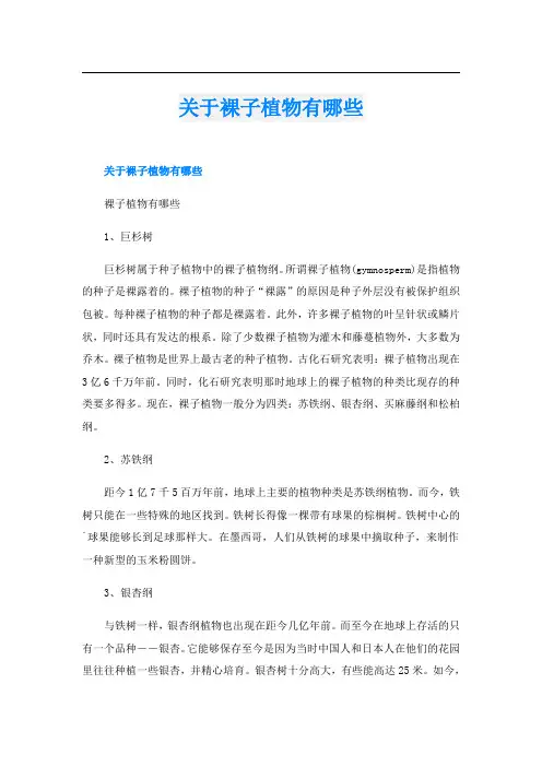 关于裸子植物有哪些