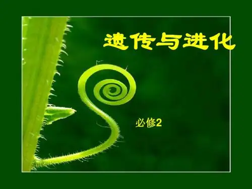 孟德尔遗传规律