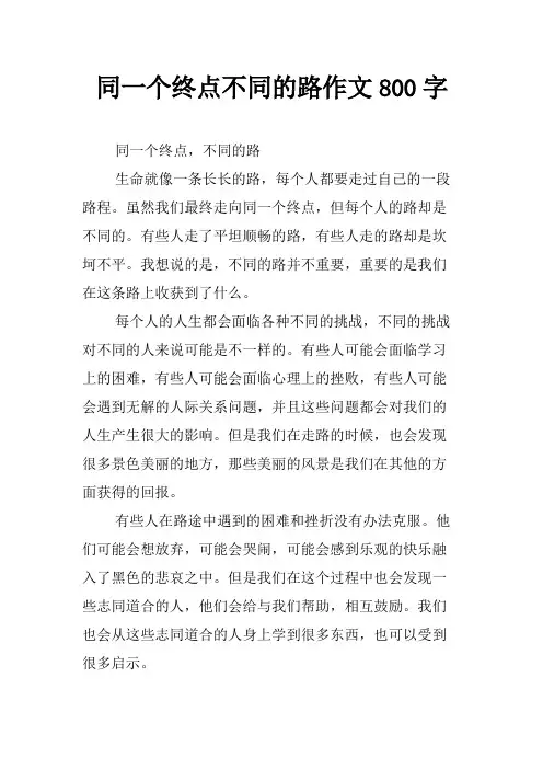 同一个终点不同的路作文800字