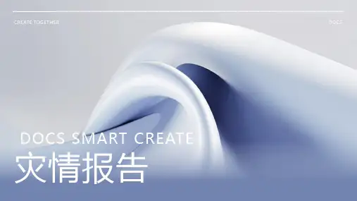 灾情报告资料