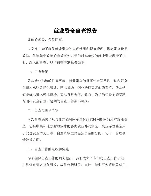 就业资金自查报告