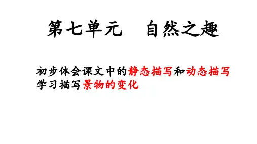 鸟的天堂(共22张PPT)