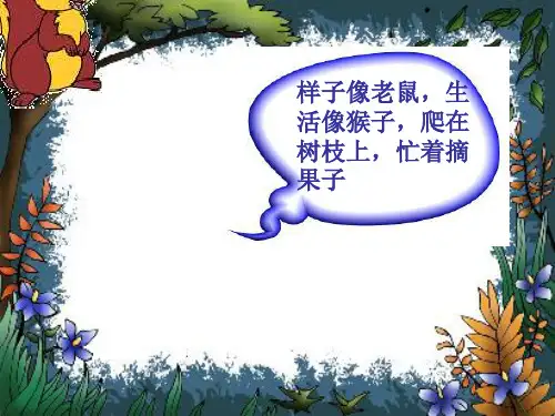《小松鼠找花生》ppt课件