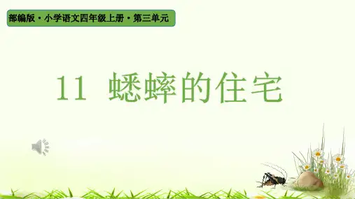 11 蟋蟀的住宅   课件(共22张PPT)