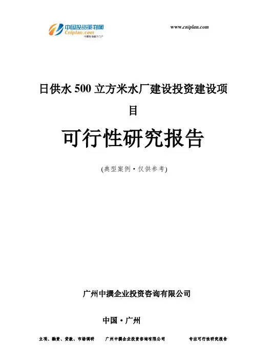日供水500立方米水厂建设投资建设项目可行性研究报告-广州中撰咨询