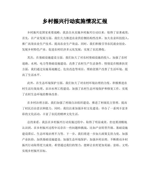 乡村振兴行动实施情况汇报