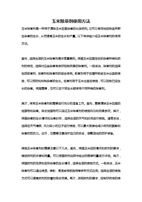 玉米除草剂使用方法