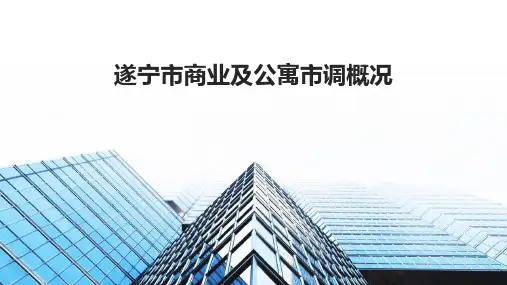 遂宁市商业及公寓市调概况