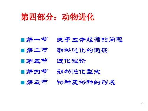 第四部分动物进化