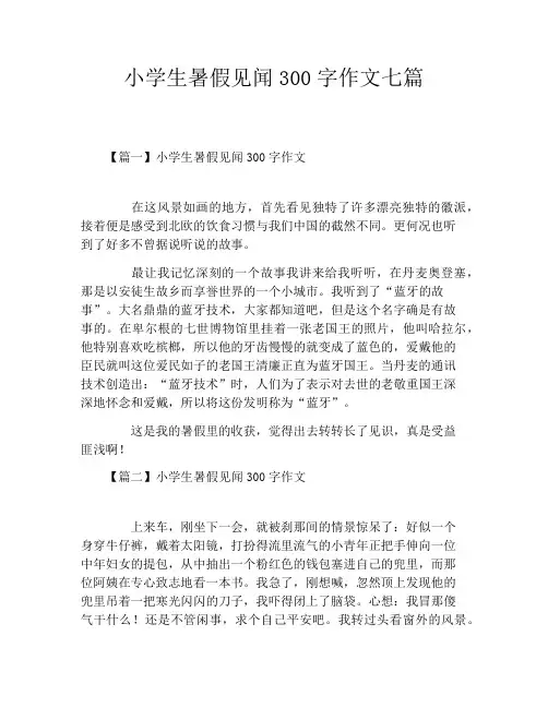 小学生暑假见闻300字作文七篇
