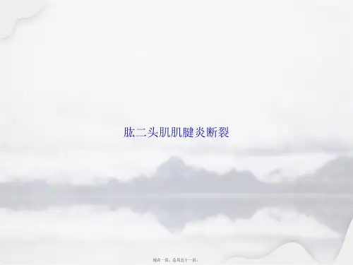 肱二头肌肌腱炎断裂讲课文档