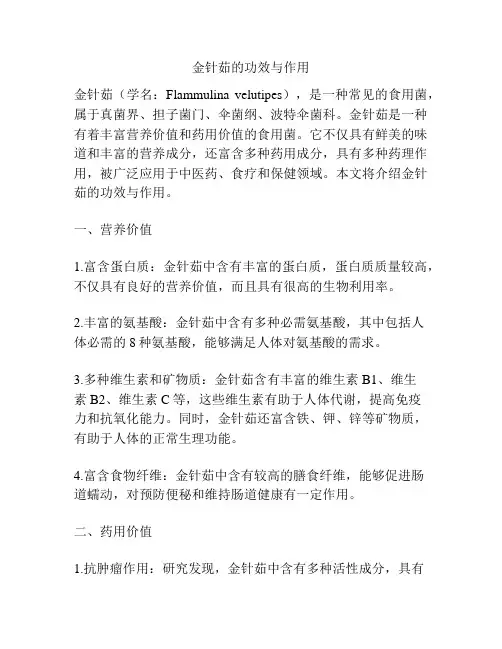 金针茹的功效与作用