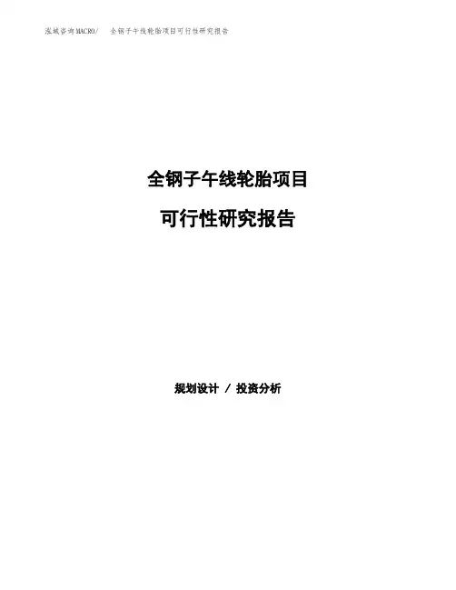 2020年全钢子午线轮胎项目可行性研究报告