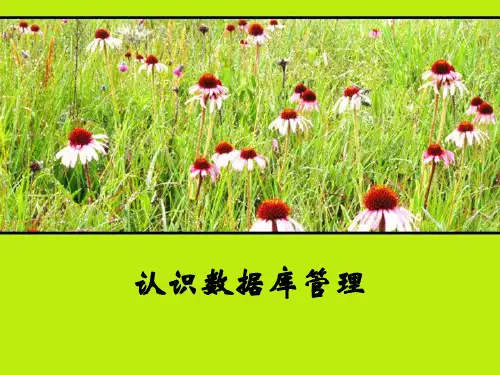 高中信息技术教科版必修  第七章 信息资源管理  7.3.2  认识数据库管理(共14张PPT)