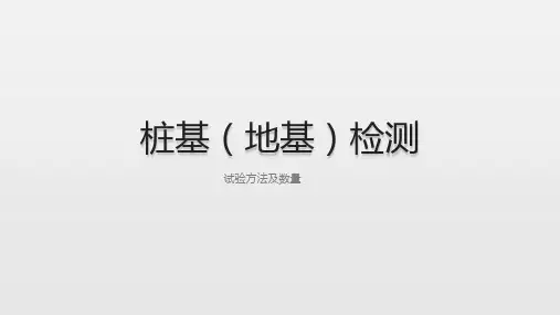 桩基础和地基基础检测方法简述