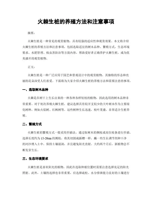 火棘生桩的养殖方法和注意事项