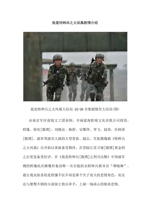 火凤凰之我是特种兵剧情 - 我是特种兵之火凤凰剧情介绍