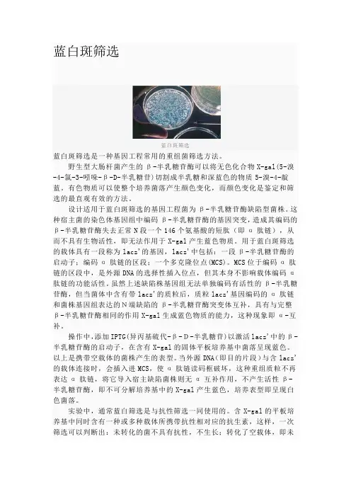 蓝白筛选原理